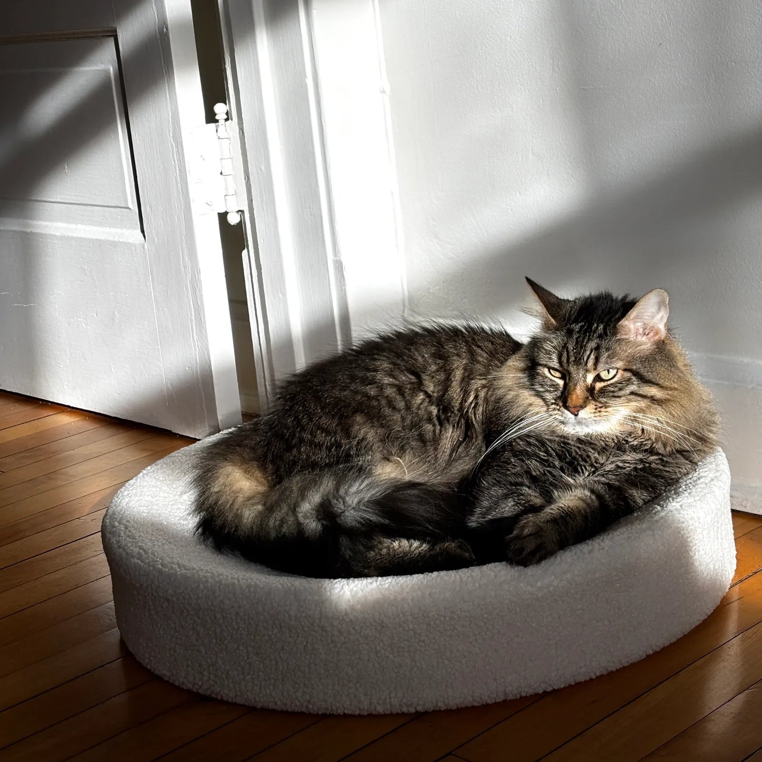 Cat Beds