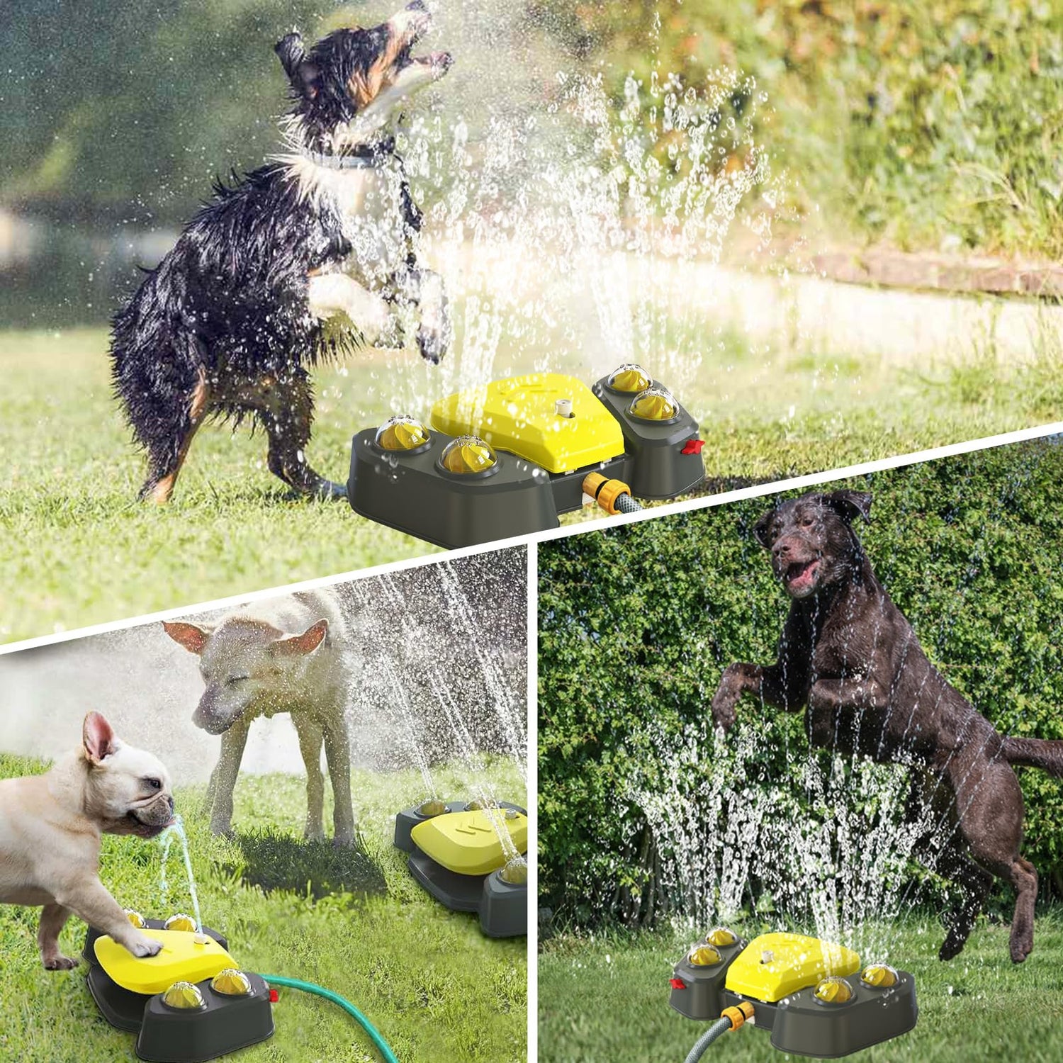 Outdoor Pet Toys