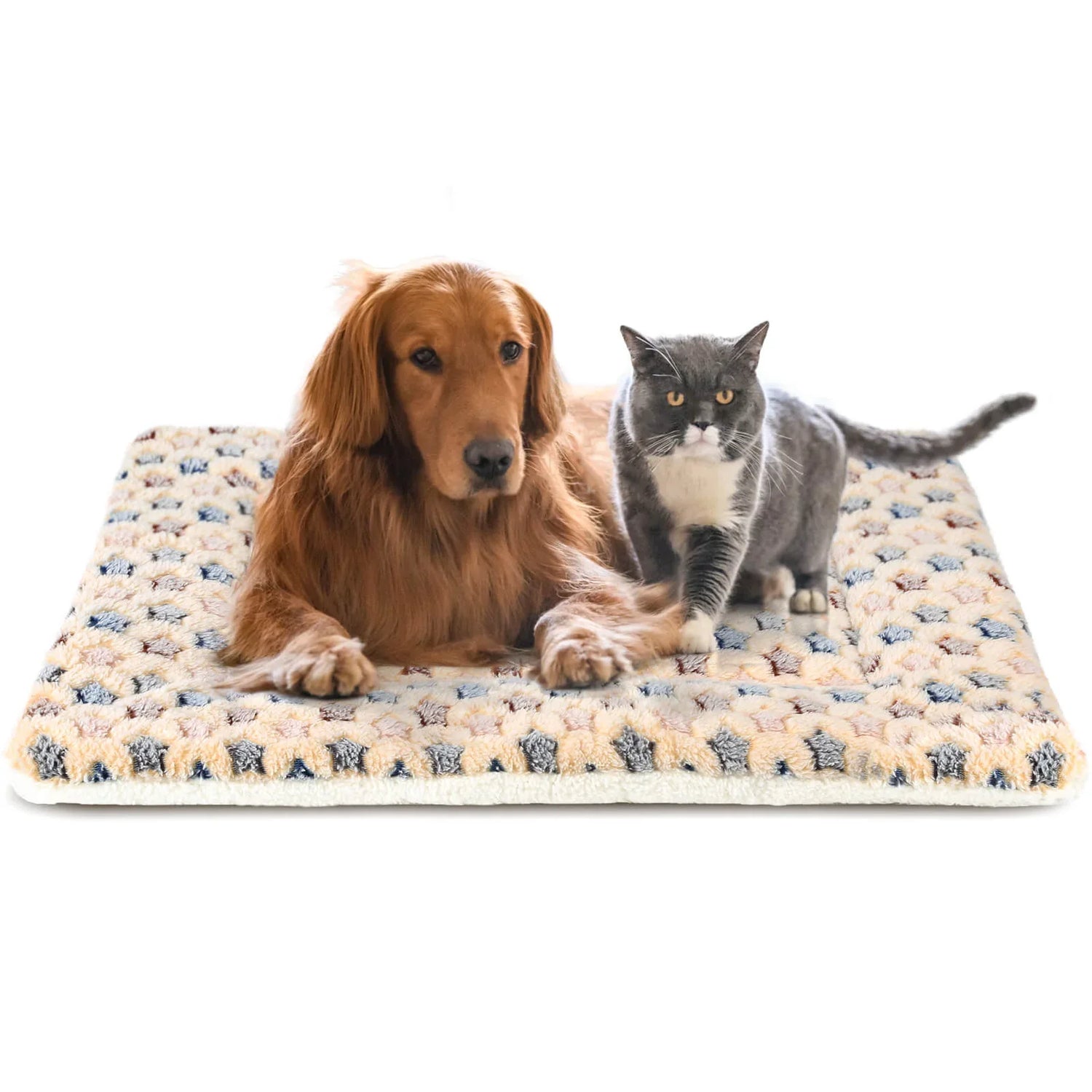 Pet Beds