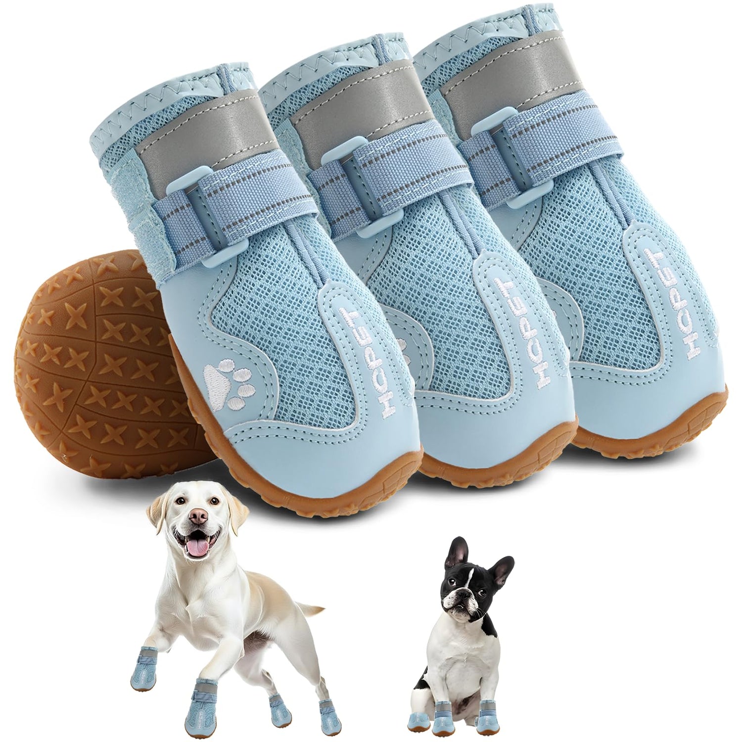 Pet Shoes