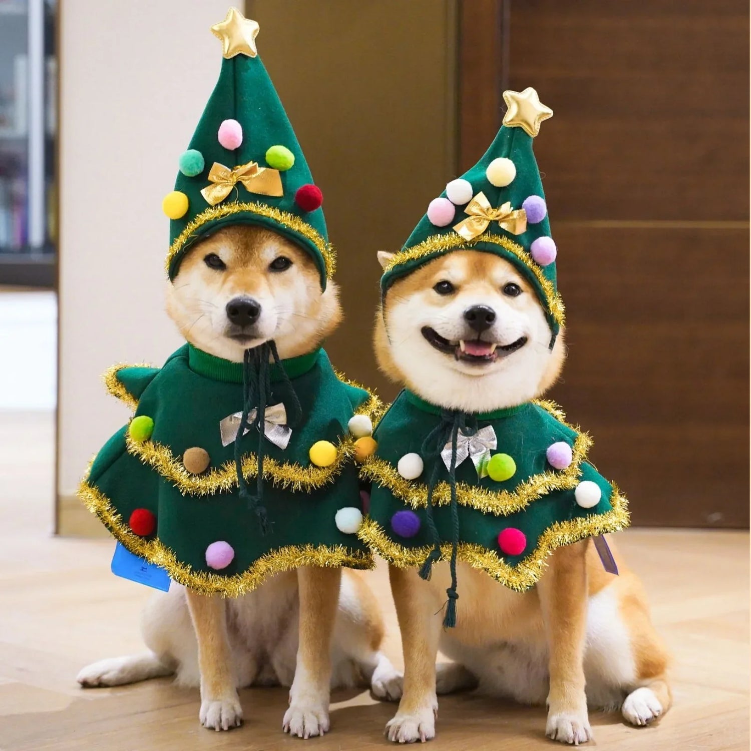 Pet Costume