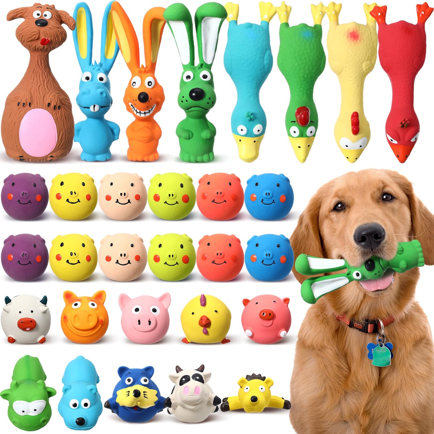 Squeaky Toys
