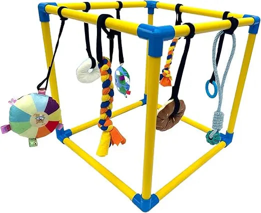 Dewonch Puppy Play Gym with 8 Hanging Toys, Small Dogs Indoor Jungle Gym, PVC Frame with Bungee Straps Enrichment Activity Cente