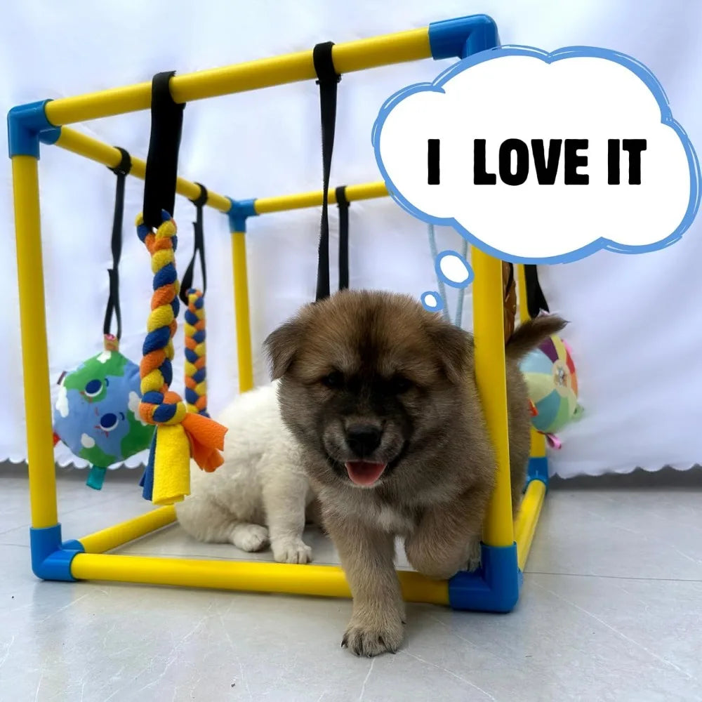 Dewonch Puppy Play Gym with 8 Hanging Toys, Small Dogs Indoor Jungle Gym, PVC Frame with Bungee Straps Enrichment Activity Cente
